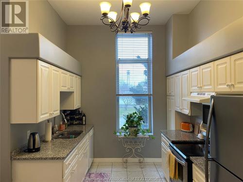 317 Queen Street Unit# 201, Chatham, ON - Indoor Photo Showing Kitchen With Double Sink
