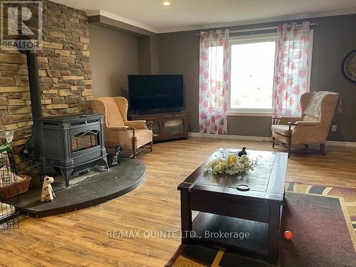 315 Haigs Reach Rd, Trent Hills, ON - Indoor Photo Showing Living Room With Fireplace