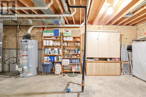22 Callary Crescent, Collingwood, ON - Indoor Photo Showing Basement