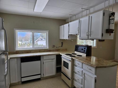 316 Nelson Avenue Nw, Nakusp, BC - Indoor Photo Showing Kitchen