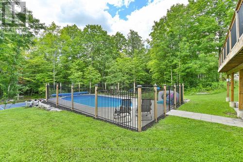 421 Douglas Rd, Centre Hastings, ON - Outdoor With Backyard