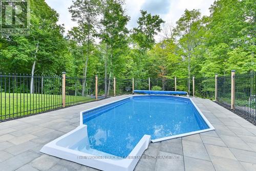 421 Douglas Rd, Centre Hastings, ON - Outdoor With In Ground Pool With Backyard