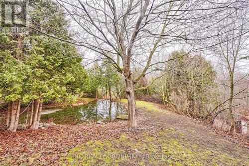 521 Concession 8 Rd W, Trent Hills, ON - Outdoor