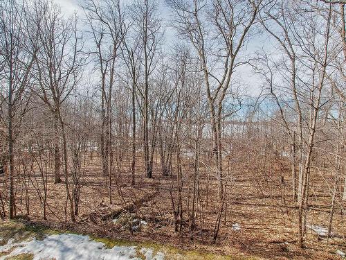 Wooded area - 103-4360 Rue Du Catamaran, Laval (Fabreville), QC - Outdoor With View