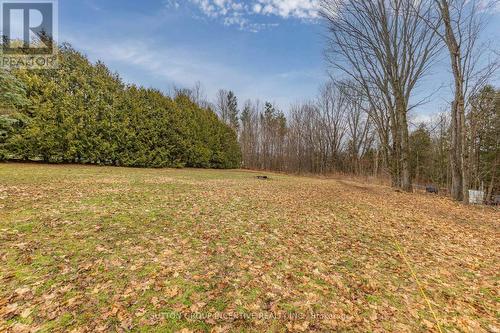 5617 7 Line N, Oro-Medonte, ON - Outdoor With View