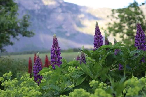 2782 20Th Street, Lister, BC - Outdoor With View