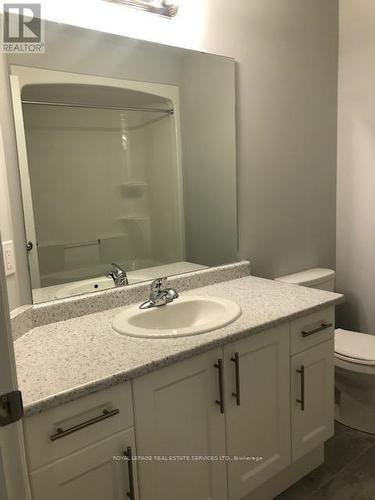 32 Aqua Lane, Hamilton, ON - Indoor Photo Showing Bathroom