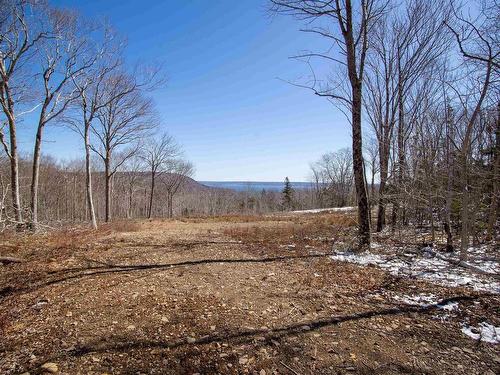 Lot Lighthouse Road, Bay View, NS 