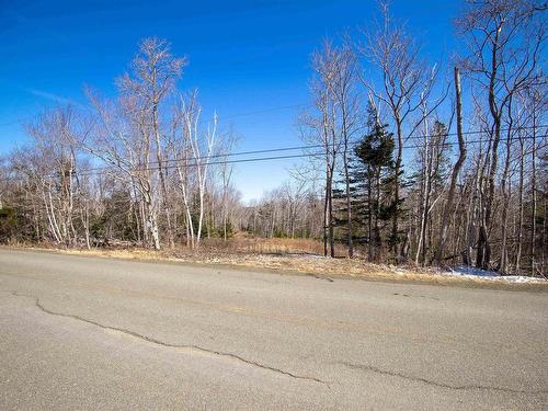 Lot Lighthouse Road, Bay View, NS 