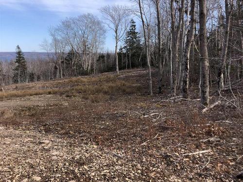 Lot Lighthouse Road, Bay View, NS 