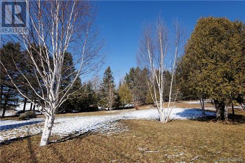 3418 Route 108, New Denmark, NB - Outdoor With View
