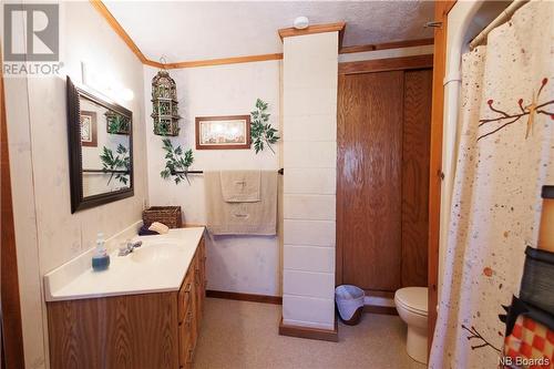 3418 Route 108, New Denmark, NB - Indoor Photo Showing Bathroom