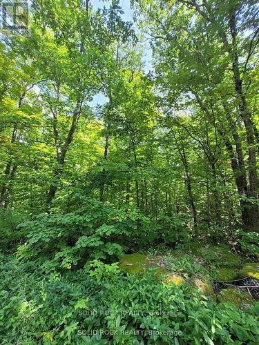 Lot 35 River Heights Rd, Marmora And Lake, ON 