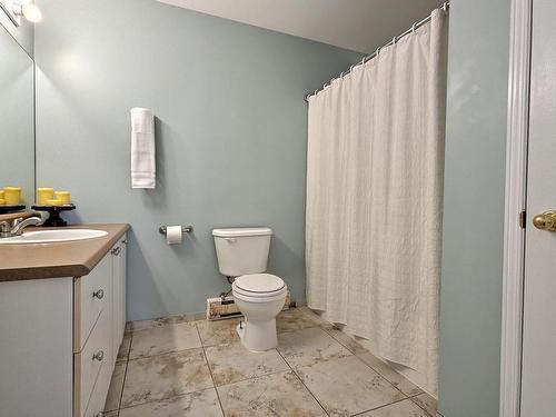 Bathroom - 64 Rue De Mirabel, Gatineau (Gatineau), QC - Indoor Photo Showing Bathroom