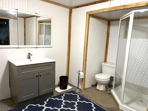 111 River Ave E, Rainy River, ON - Indoor Photo Showing Bathroom