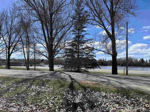 111 River Ave E, Rainy River, ON - Outdoor With View