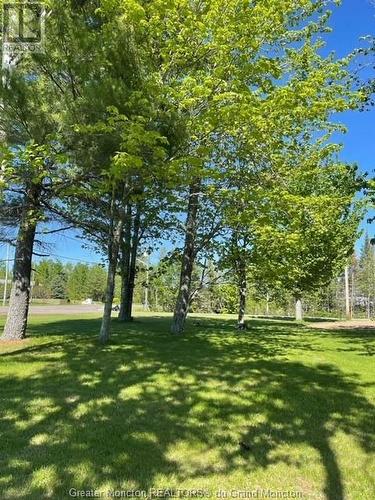 6821 Route 134, Bouctouche, NB - Outdoor With View