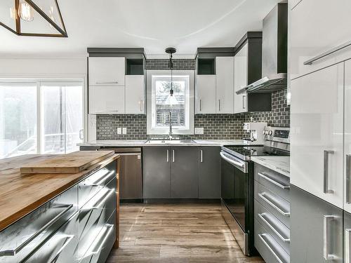 Kitchen - 160 Rue De L'Avenir, Mont-Blanc, QC - Indoor Photo Showing Kitchen With Double Sink With Upgraded Kitchen