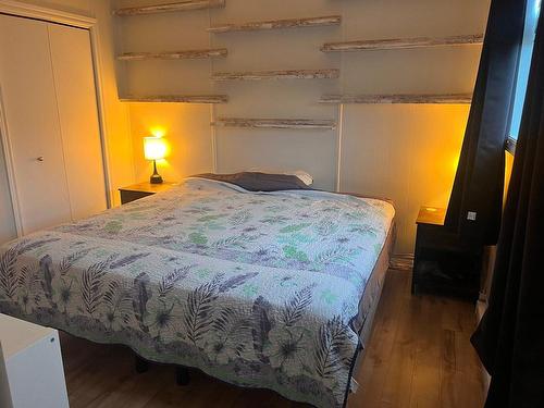 Chambre Ã  coucher principale - 41 Rue Santerre, Saint-André-D'Argenteuil, QC - Indoor Photo Showing Bedroom
