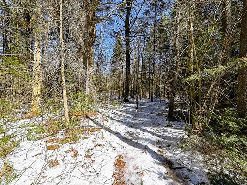 Wooded area - 238 Côte St-Nicholas, Saint-Colomban, QC - Outdoor With View