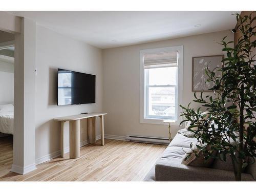 Living room - 3841A Rue Drolet, Montréal (Le Plateau-Mont-Royal), QC - Indoor