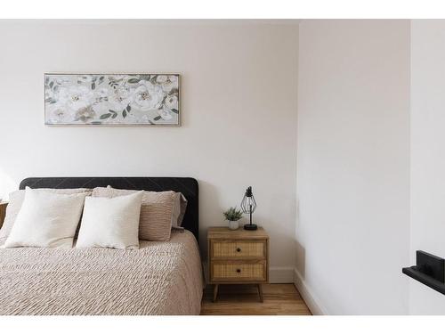 Chambre Ã  coucher principale - 3841 Rue Drolet, Montréal (Le Plateau-Mont-Royal), QC - Indoor Photo Showing Bedroom