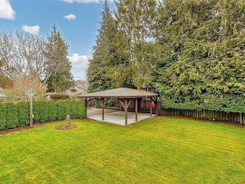 1863 Gonzales Ave, Victoria, BC - Outdoor With Backyard