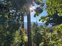1851 Meredith Rd, Nanaimo, BC  - Outdoor With View 