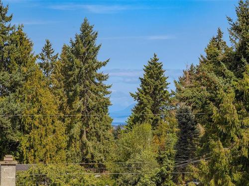 6785 Harwood Dr, Lantzville, BC - Outdoor With View