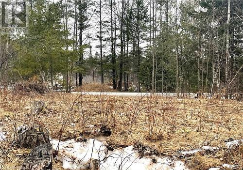 View to the road from the lot - 5165 Loggers Way, Ottawa, ON 