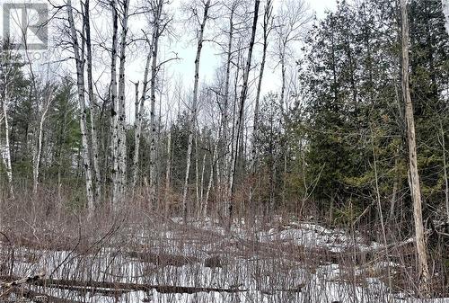Woods in the back of clearing - 5165 Loggers Way, Ottawa, ON 