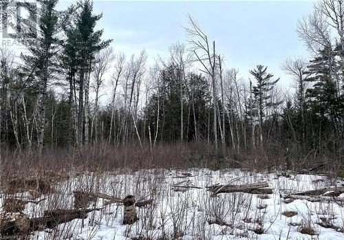 Back of the clearing - 5165 Loggers Way, Ottawa, ON 