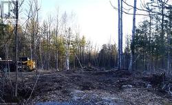 Clearing of lot - 
