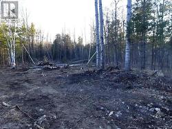 Clearing of lot - 