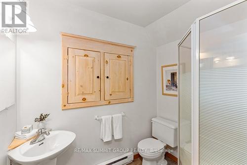 221 Pellisier Street, Grey Highlands, ON - Indoor Photo Showing Bathroom