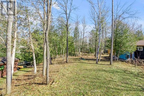 7 Duncan Dr, Kawartha Lakes, ON - Outdoor With View