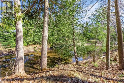 7 Duncan Drive, Kawartha Lakes, ON - Outdoor With View