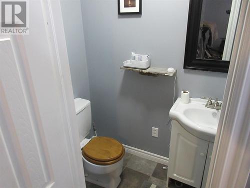 580 Main Street, Bishop'S Falls, NL - Indoor Photo Showing Bathroom