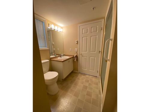 105 - 38 High Street, Nelson, BC - Indoor Photo Showing Bathroom
