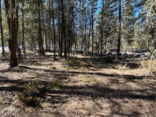 Lot 18 Osprey Landing Drive, Wardner, BC - Outdoor With View