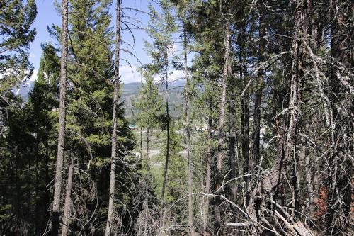 Lot 18 Osprey Landing Drive, Wardner, BC - Outdoor With View