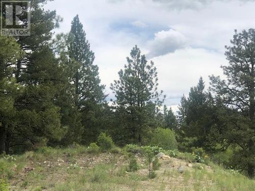 410 Sasquatch Trail Lot# Lot 26, Osoyoos, BC 