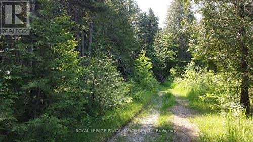 5966 Highway 506, North Frontenac, ON 