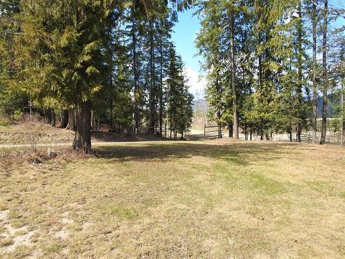 86 Campbell Road, Cherryville, BC - Outdoor With View