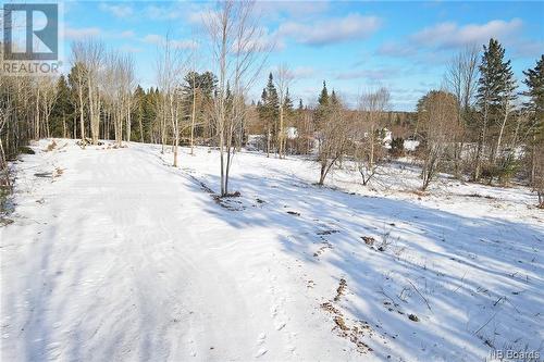 Lot Route 10, Upper Salmon Creek, NB 