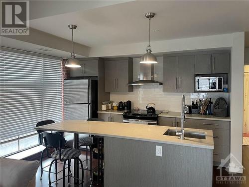 555 Anand Private Unit#205, Ottawa, ON - Indoor Photo Showing Kitchen With Double Sink With Upgraded Kitchen