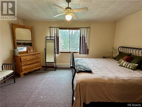 3826 Route 385, Nictau, NB - Indoor Photo Showing Bedroom
