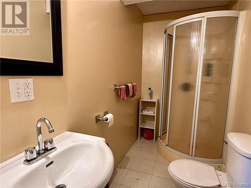 3826 Route 385, Nictau, NB - Indoor Photo Showing Bathroom
