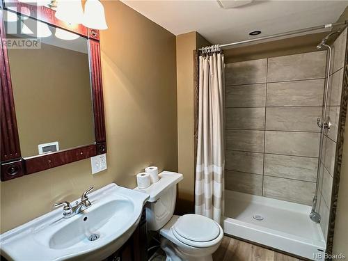 3826 Route 385, Nictau, NB - Indoor Photo Showing Bathroom