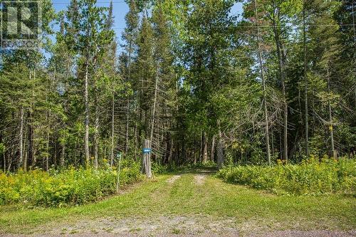 6064 Norcam Ct|Jocelyn Township, St. Joseph Island, ON - Outdoor With View